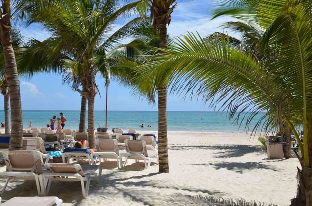 Standard-Bereich Catalonia Playa Maroma