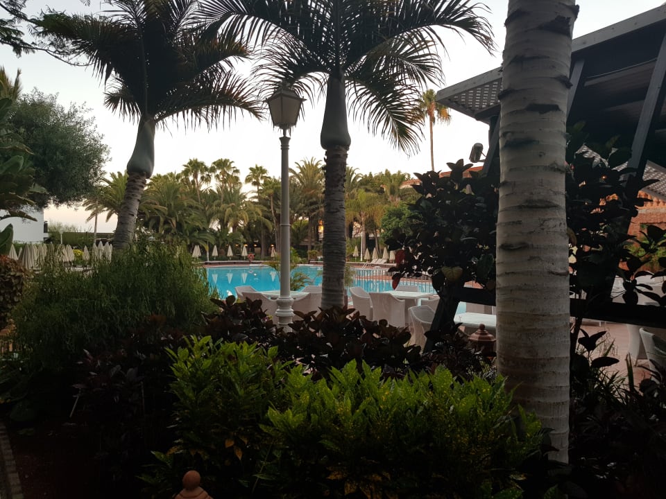 Gartenanlage Hotel Parque Tropical