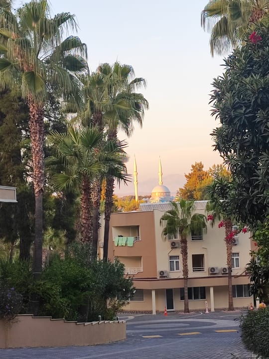 Gartenanlage Club Sidelya Hotel