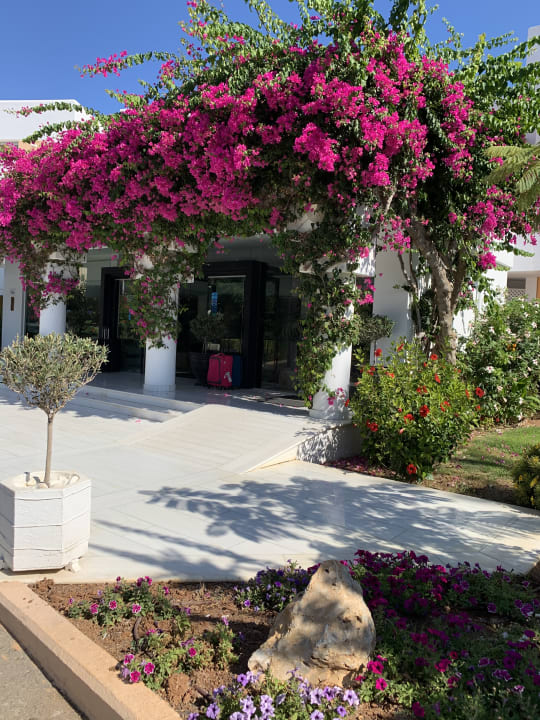 Lobby Anissa Beach & Village