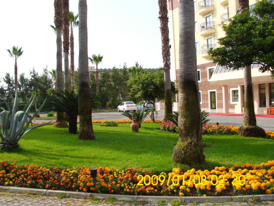 Gartenanalge vor dem Hotel  Hotel Meryan