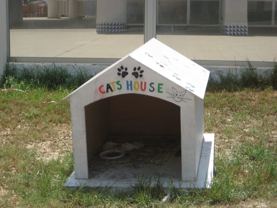 Katzenhaus Hotel El Mouradi Djerba Menzel