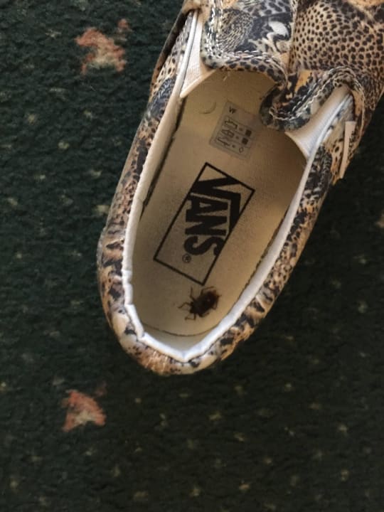 Ungeziefer Business Resort Parkhotel Werth