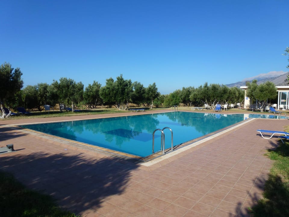 Pool im Olivenhain Apartments Captain Tom