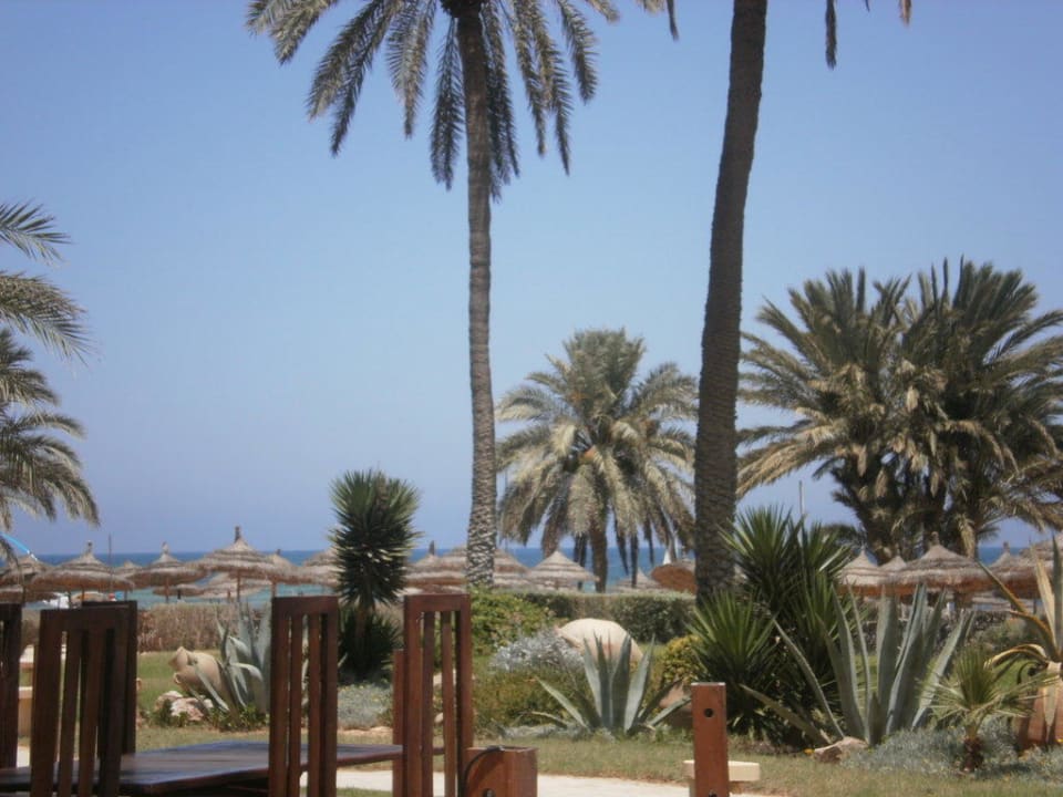 Blick vom Mittagessen aufs Meer Hotel Eden Star