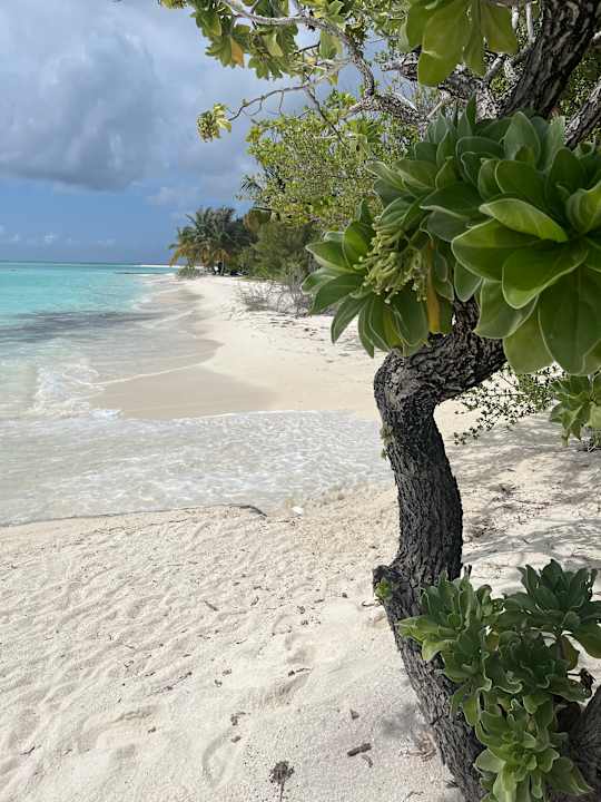 Außenansicht Meeru Maldives Resort Island