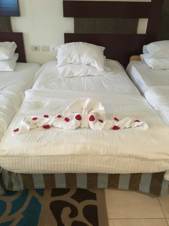 Zimmer Rixos Sharm El Sheikh Adults Only 18 +