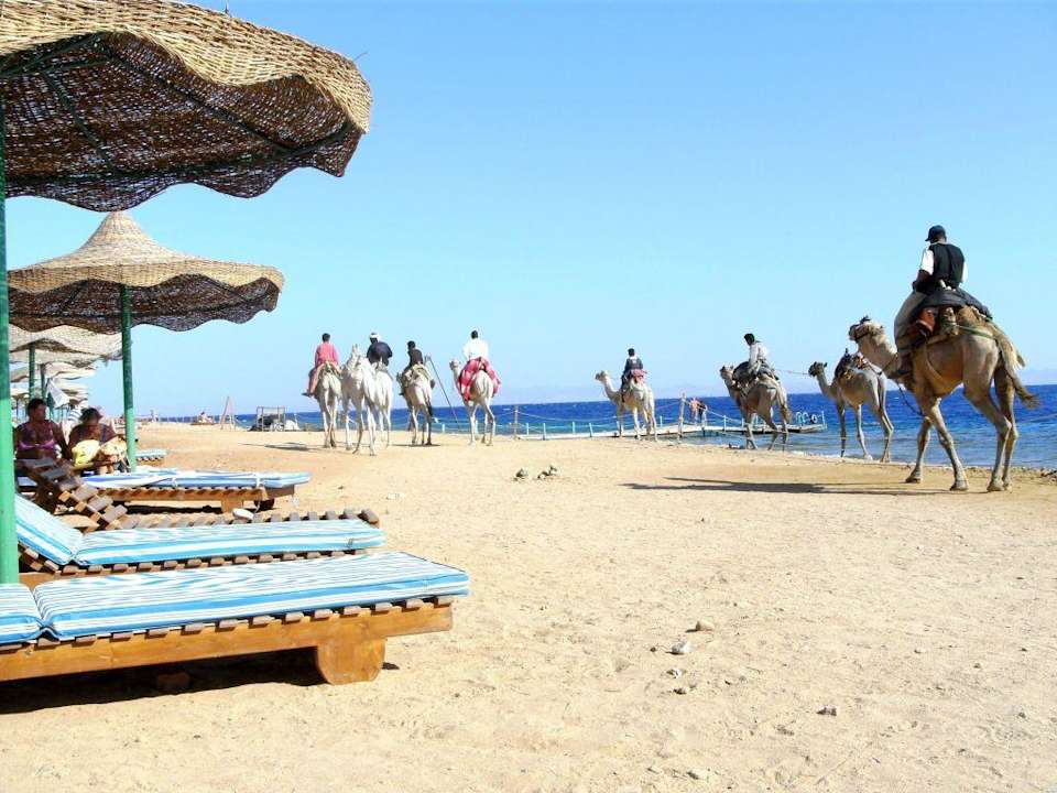 Wüstenschiffe Happy Life Village