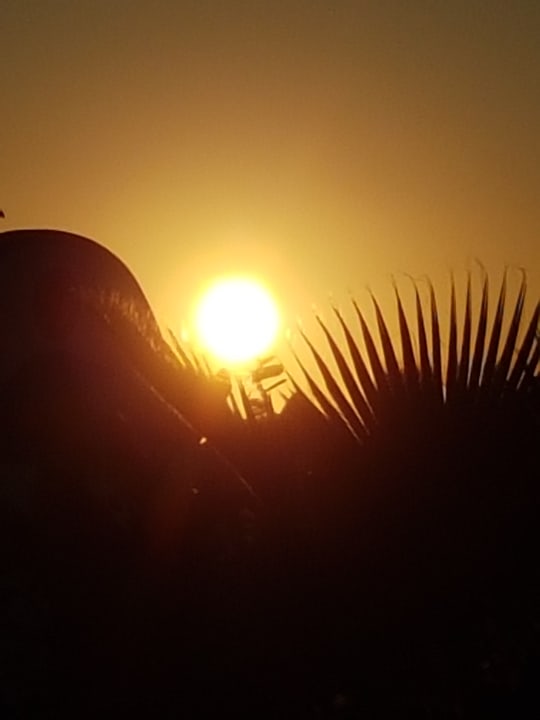 Ausblick Hotel Tigaki's Star