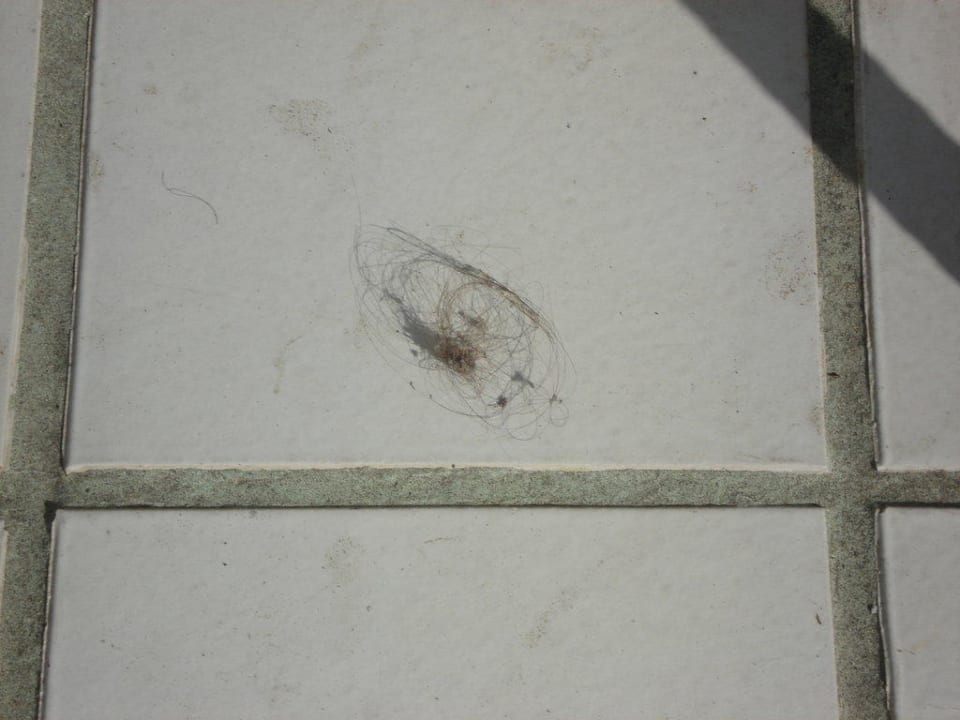 Sehr lecker Hotel Florida