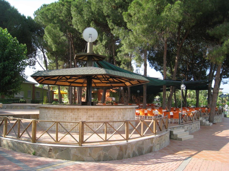 Strandbar Lonicera Resort & Spa Hotel