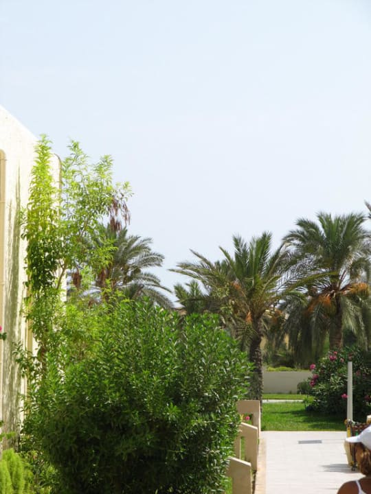 Der Weg zu den Rutschenpools TUI MAGIC LIFE Penelope Beach