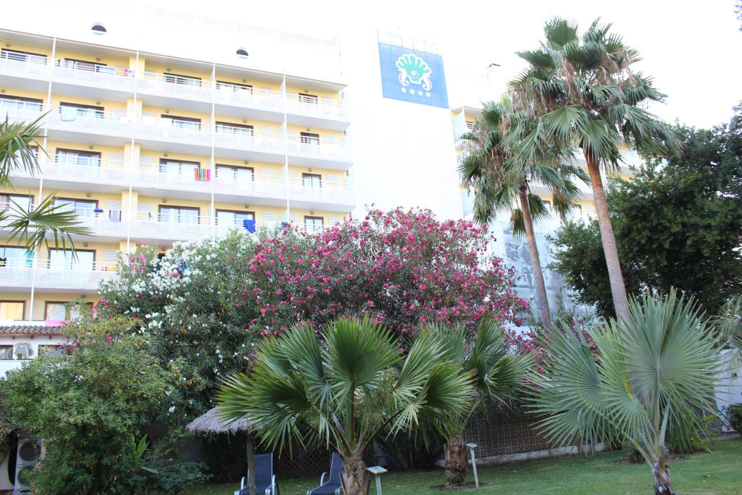 Sicht Gartenseite Bahía de Alcúdia Hotel & Spa
