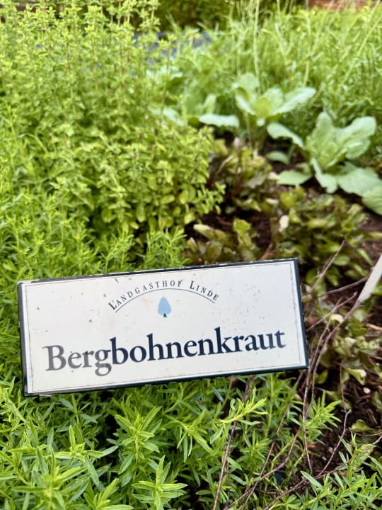 Gartenanlage Landgasthof Linde