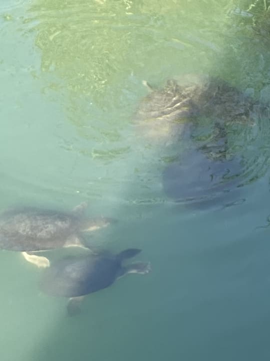 Sonstiges Sunis Evren Beach Resort Hotel & Spa