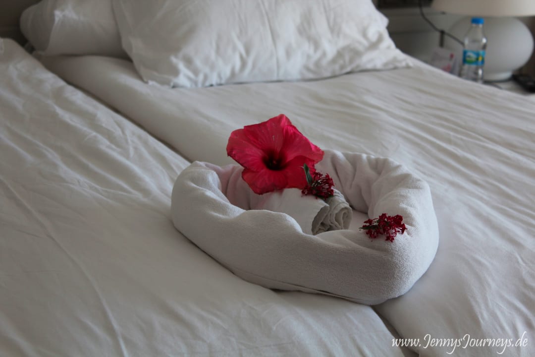 Zimmer Acanthus Cennet Barut Collection