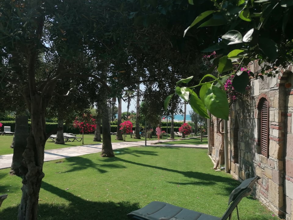 Gartenanlage Arum Barut Collection