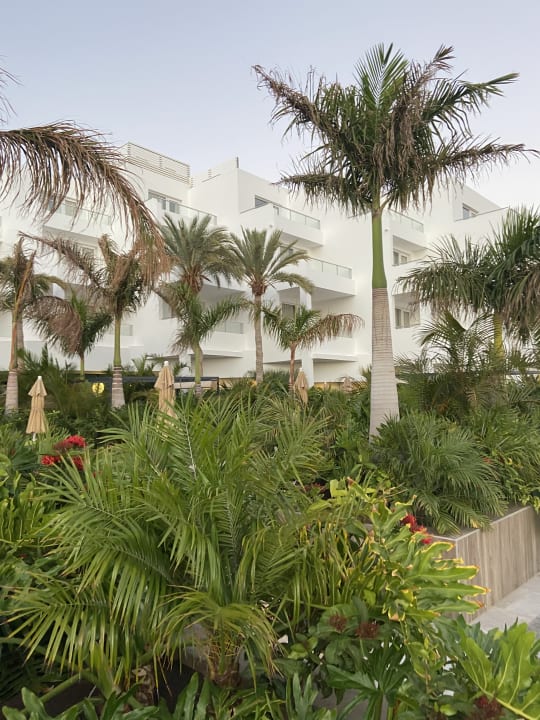 Gartenanlage Hotel Riu Palace Jandia