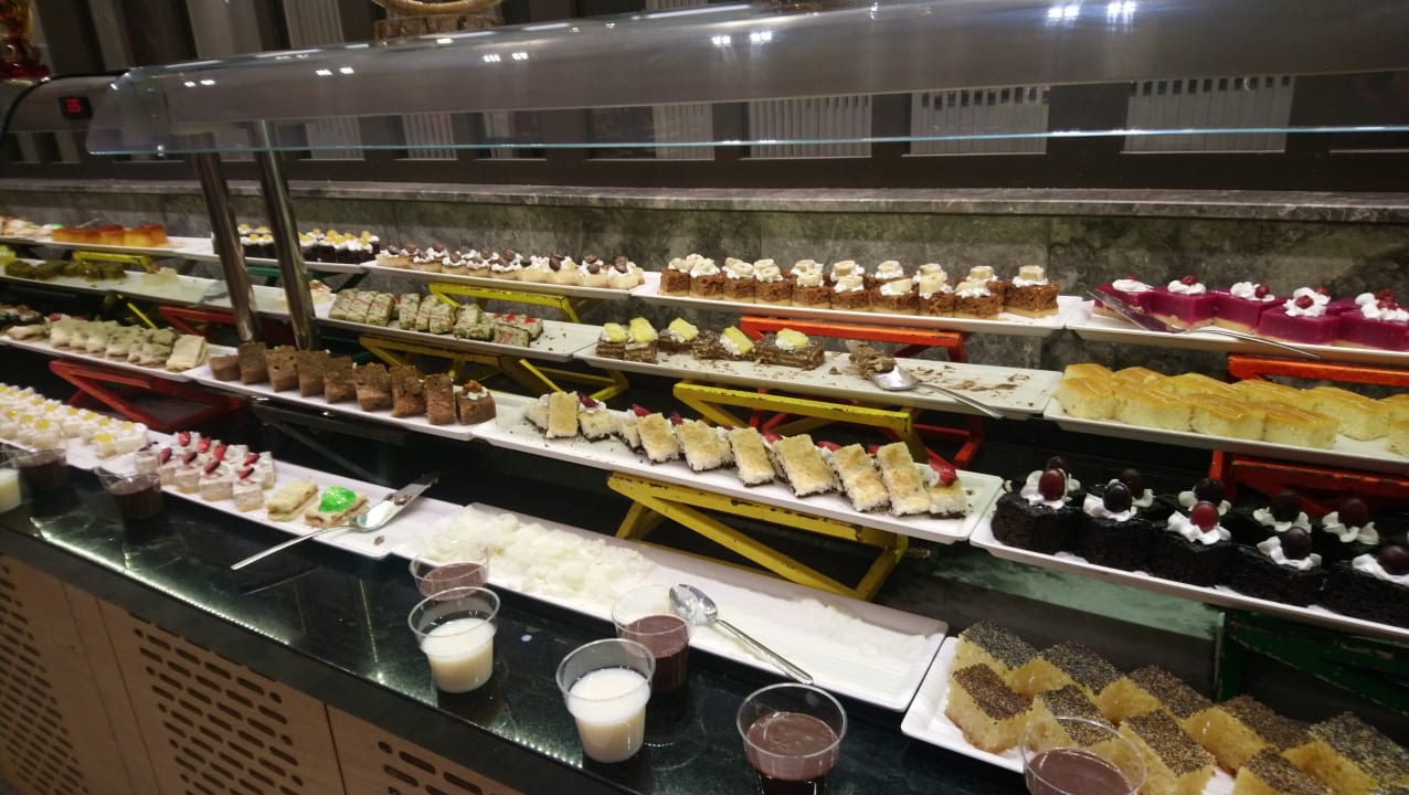 Gastro Seashell Vega