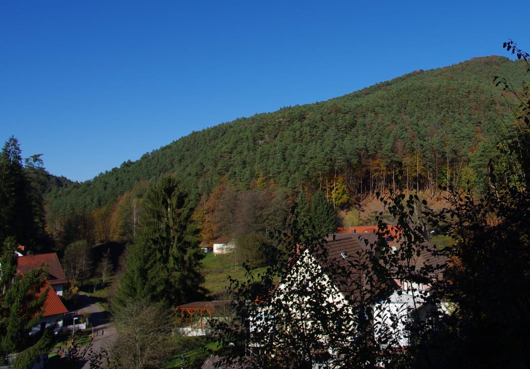 Vue de ma chambre d'hôtel Hotel Die kleine Blume