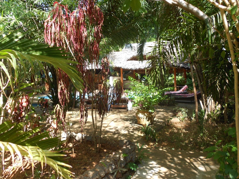 Hübsche Anlage Boko Boko Porini Farm- and Guesthouse