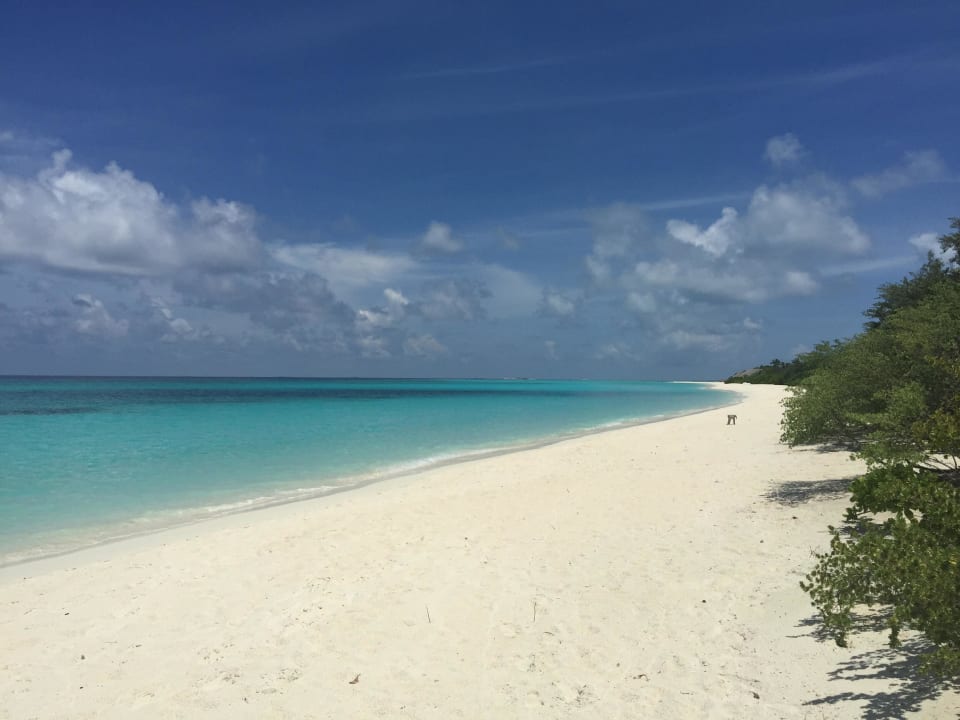 Sunset side Palm Beach Resort & Spa Maldives