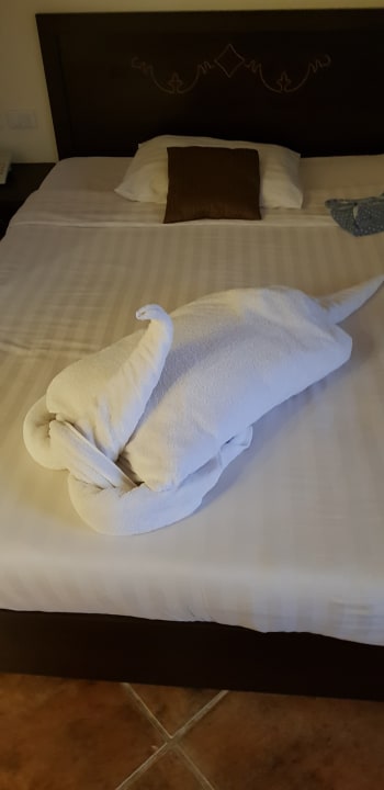 Zimmer Three Corners Sea Beach Resort