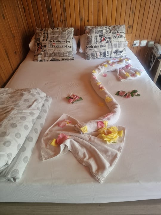 Zimmer Clover Magic Nova Beach