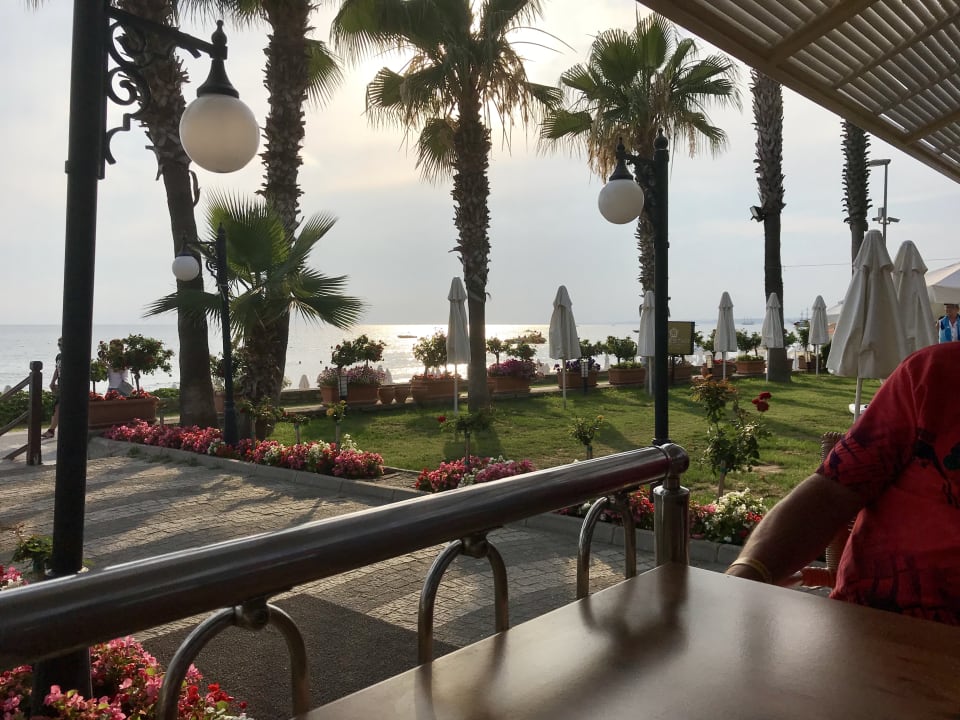 Ausblick Hotel Side Star Park