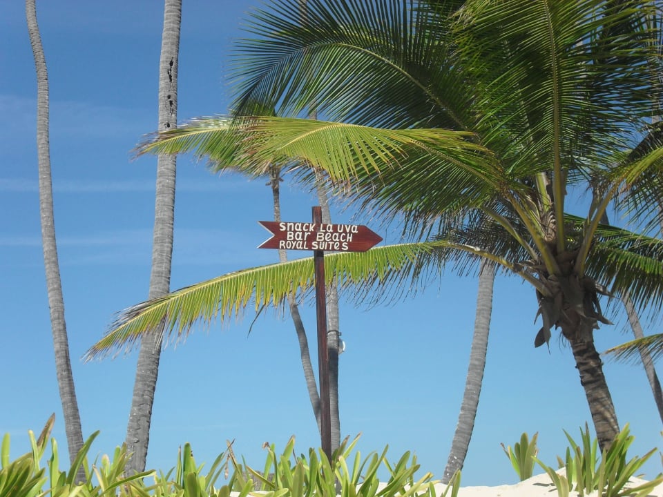 Hotel Grand Palladium Bávaro Suites Resort & Spa Grand Palladium Select Bávaro Resort & Spa