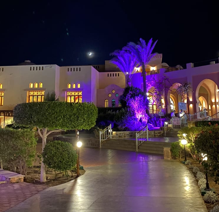 Gartenanlage Steigenberger Coraya Beach - Adults only