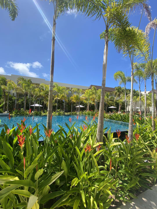 Pool Dreams Royal Beach Punta Cana