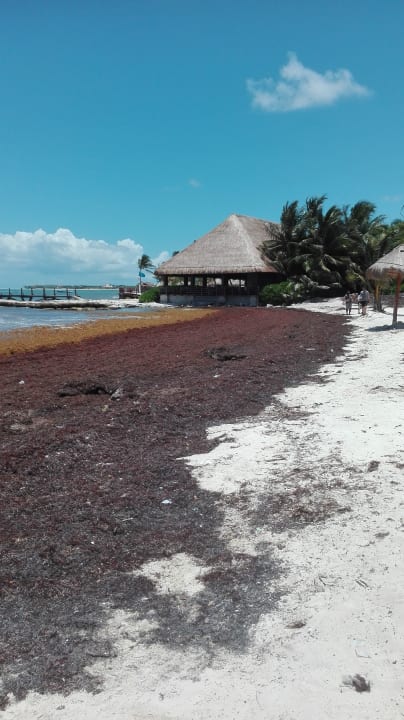 Strand BlueBay Grand Esmeralda