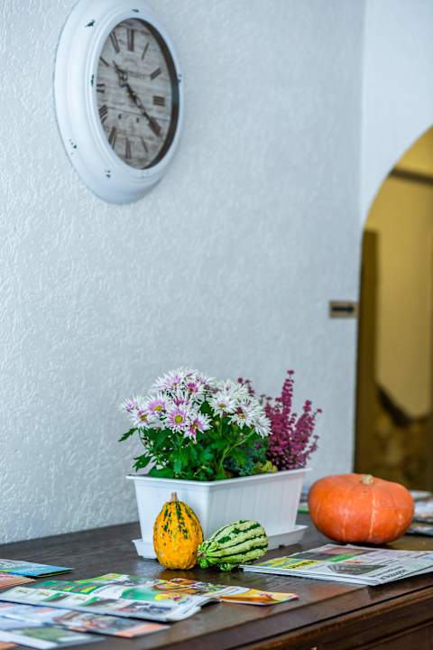 Deko Hostel - Zittauer Gebirge