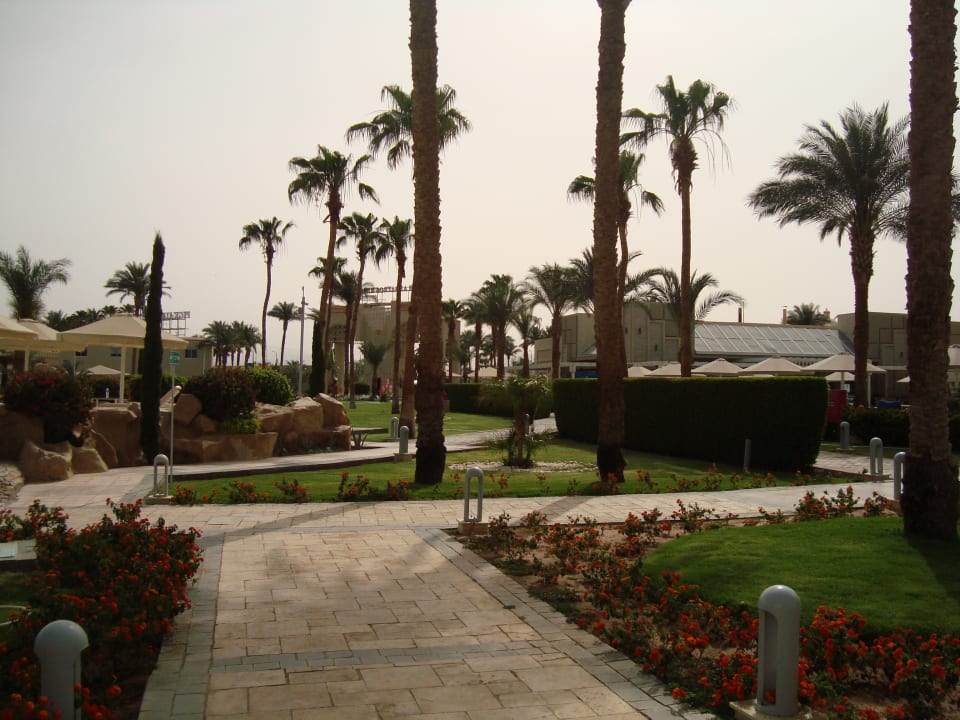 Gartenanlage Beach Albatros Resort
