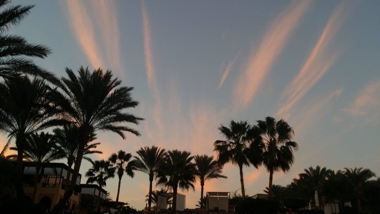 Hängematten Foto  Steigenberger Coraya Beach - Adults only