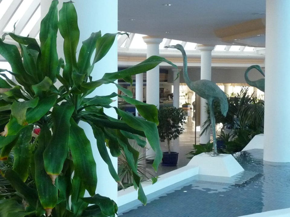 Lobby Hotel Riu Palace Jandia