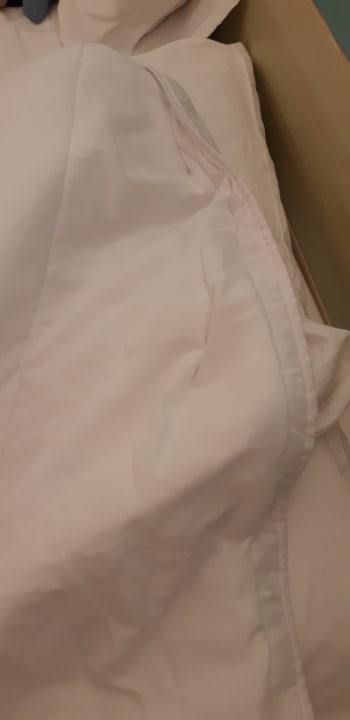 Zimmer HOVIMA La Pinta Beachfront Family Hotel