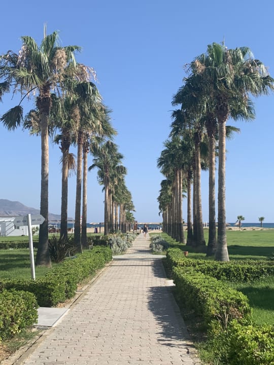 Gartenanlage Delfina Tropic Beach