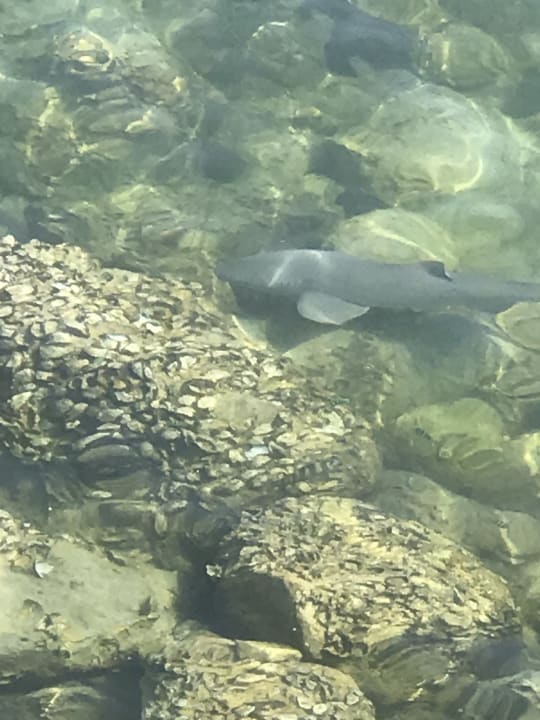 Strand Salalah Rotana Resort