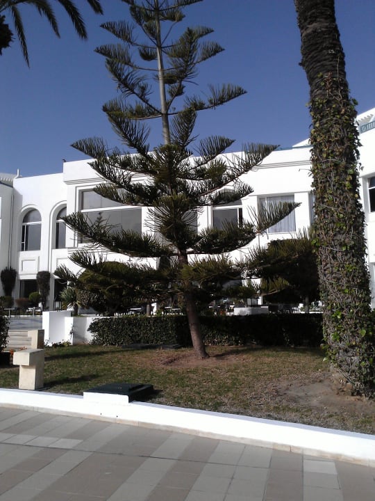 Vue de la piscine Mahdia Palace Thalasso