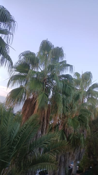 Ausblick VONRESORT Golden Beach