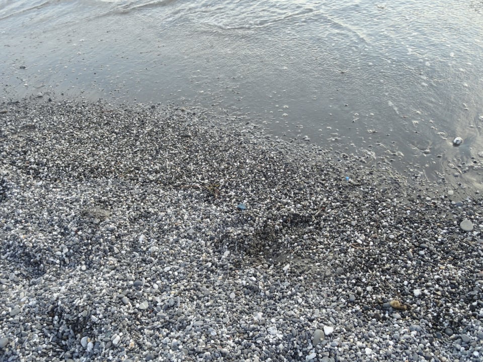 Plaża ma drobne kamyczki San Domenico Family Hotel