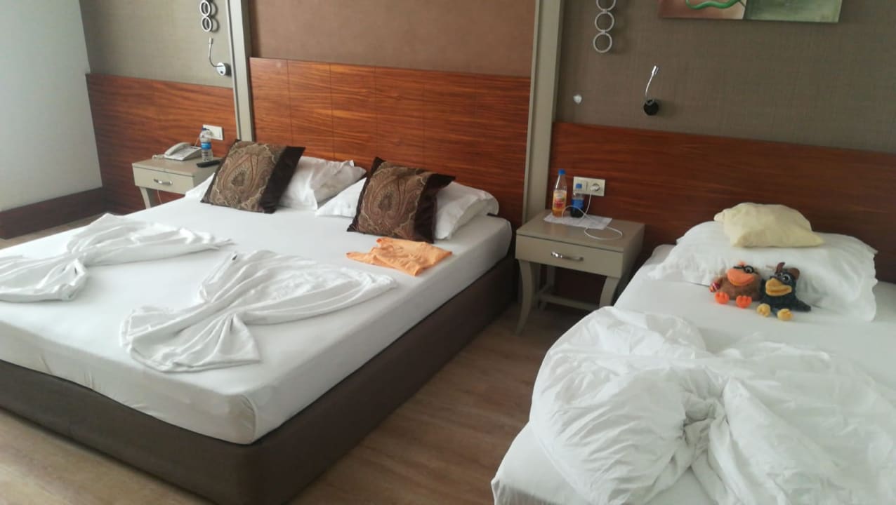 Zimmer Well Palace Side