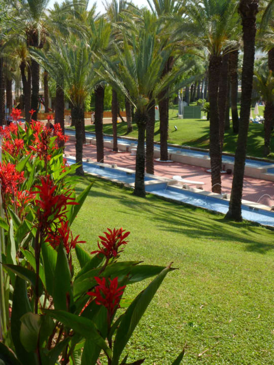 Blick auf Palmenallee Monachus Family Resort Sorgun