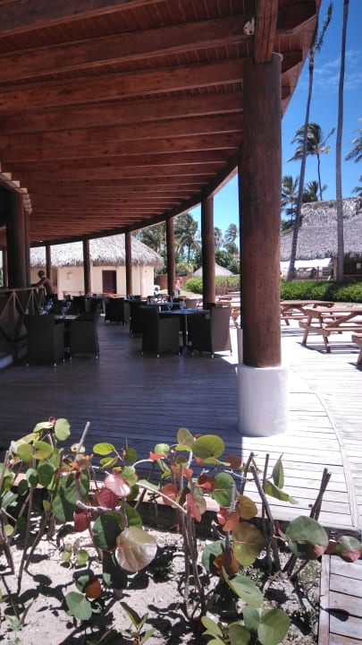Gastro Dreams Royal Beach Punta Cana