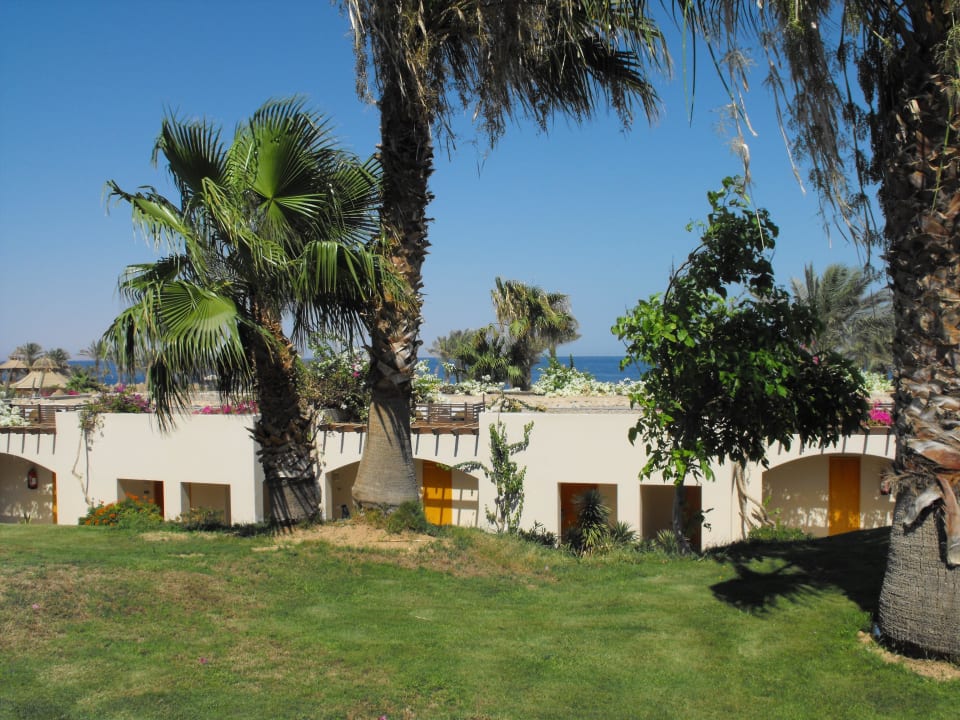 Meerblick? Parrotel Beach Resort