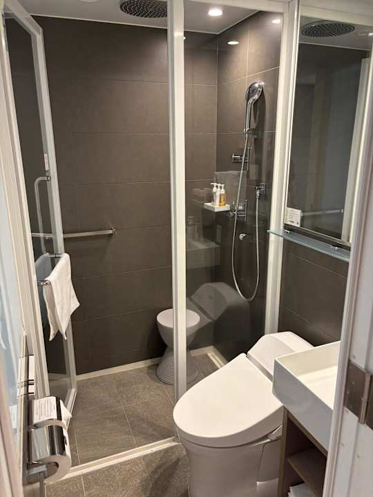 Zimmer remm plus Ginza
