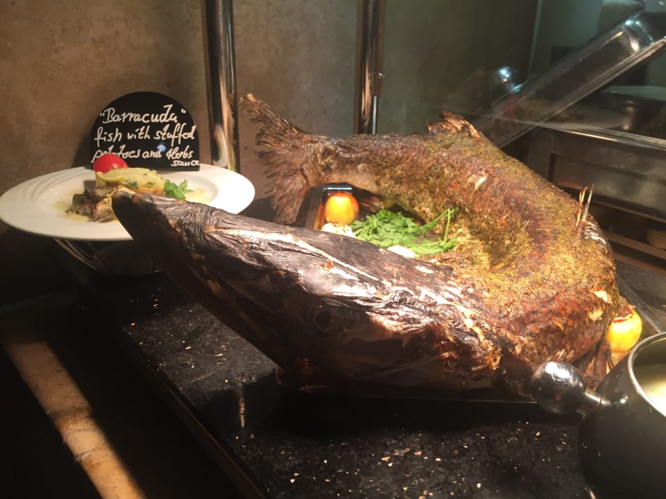 Gastro Makadi Spa - Adults only