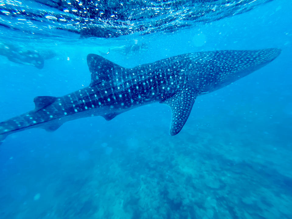 Sport & Freizeit Machchafushi Island Resort & Spa Maldives, The Centara Collection